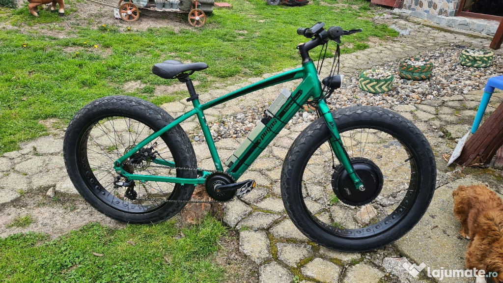 Bicicleta electrica fat bike