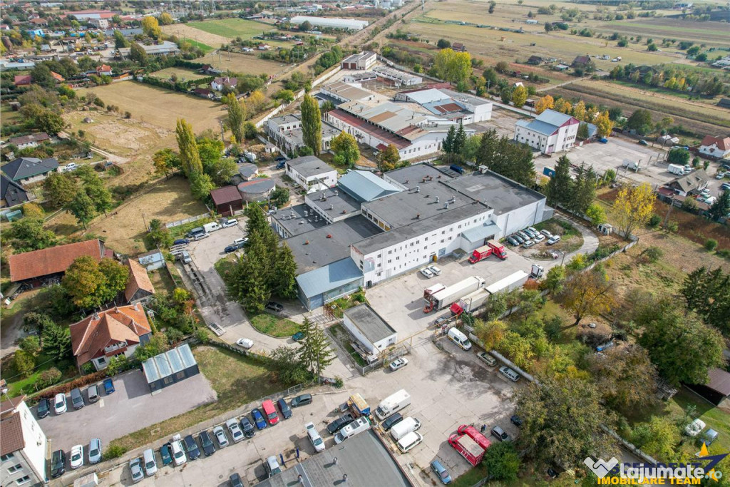 FILM! Revitalizeaza afacerea ta sau preia ce este in derular