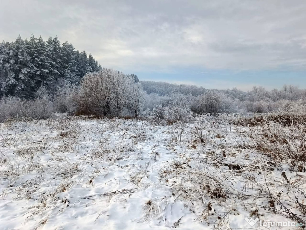 Teren 3600 mp intravilan, lac cu pește și heleșteu