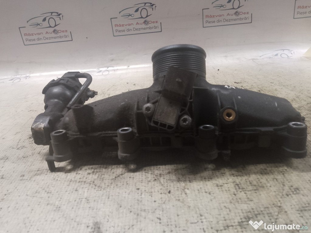 Galerie Admisie Plastic Skoda RAPID 1.4 2013