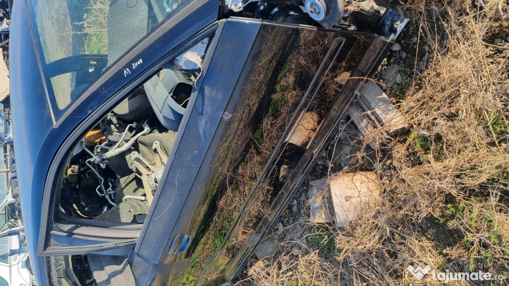 Usa dreapta fata Audi A3 8P 2008