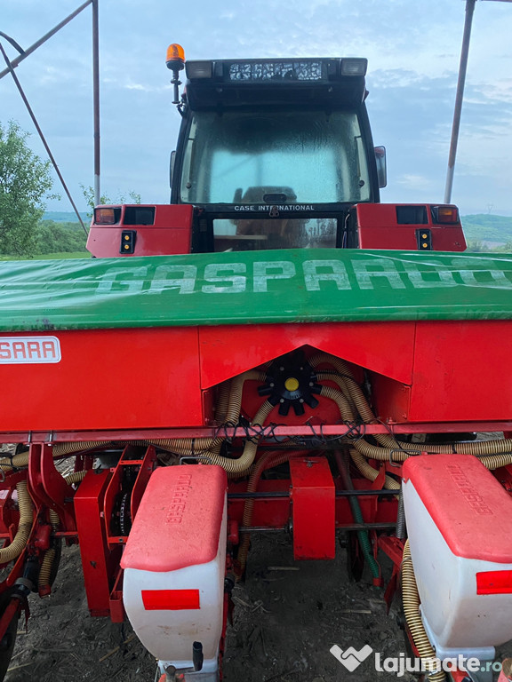 Semanatoare Gaspardo