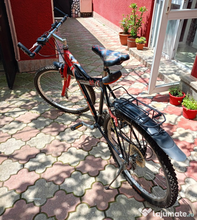 Bicicleta First Bike second hand adulti