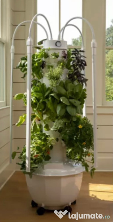 Turn creste plante fara sol - aeroponic