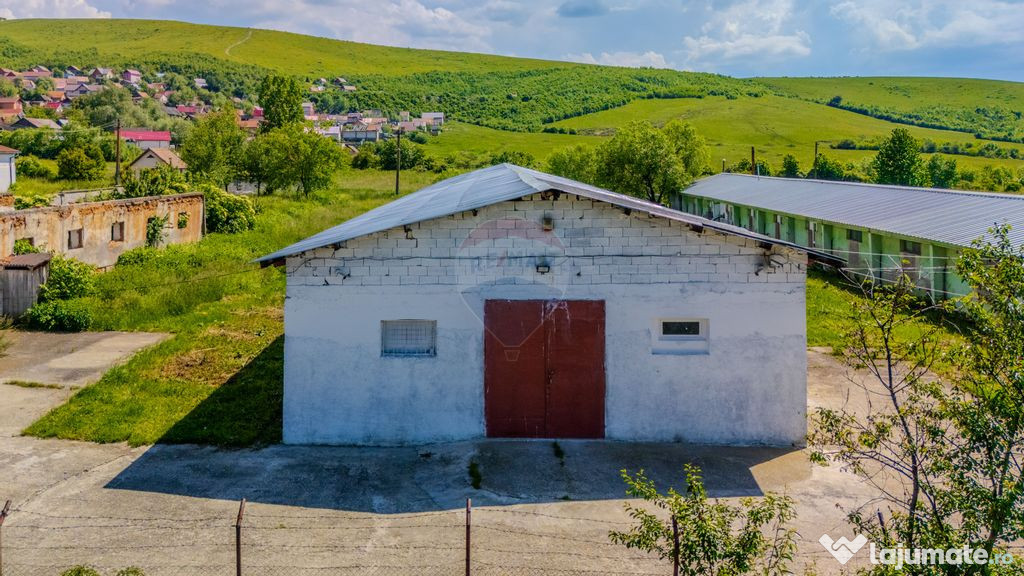Spațiu industrial de 700mp de închiriat