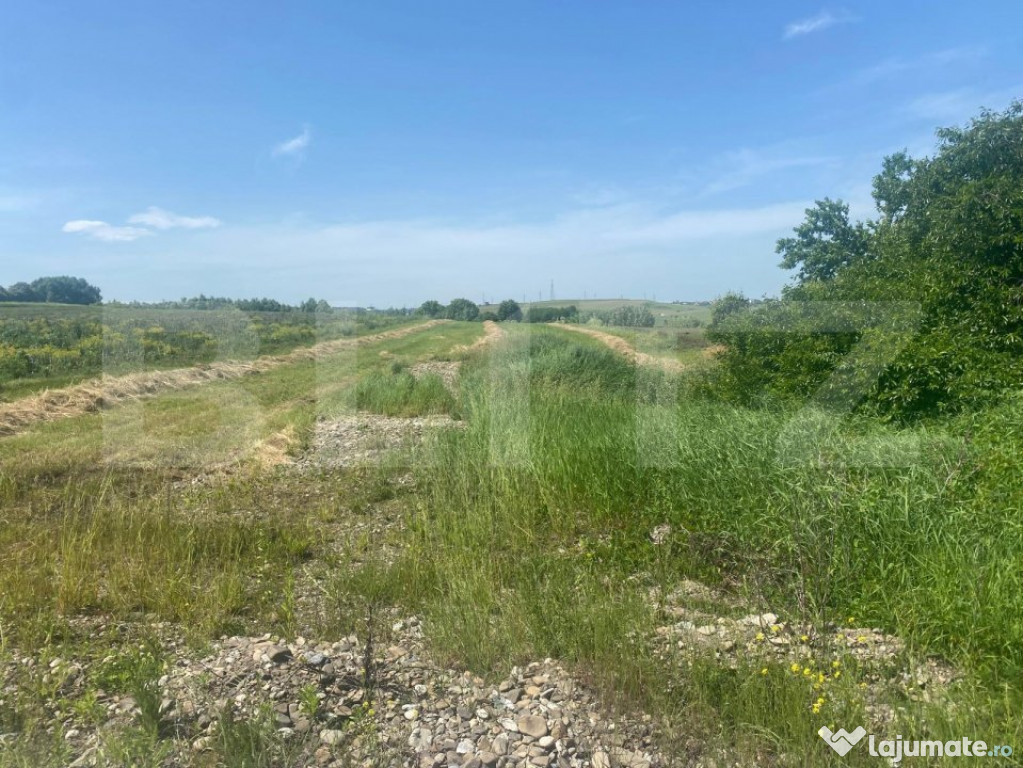 Teren intravilan de vanzare, 943 mp, zona Moara