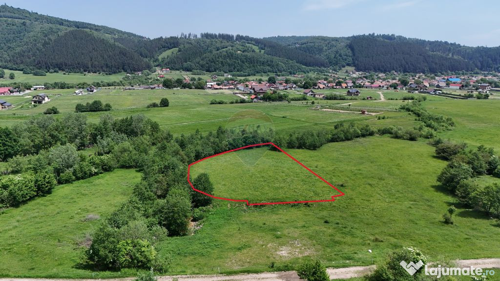 Comision 0% | Teren intravilan | 2,730mp | Zărnești | P...