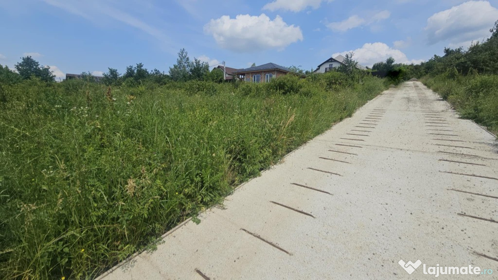 Teren intravilan , Bucium Barnova