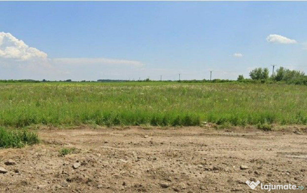 Teren Costestii din Vale, ID: R2582235