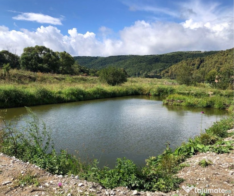 Teren cu baltă plus gard, 2200mp intravilan, Poieni, Cluj