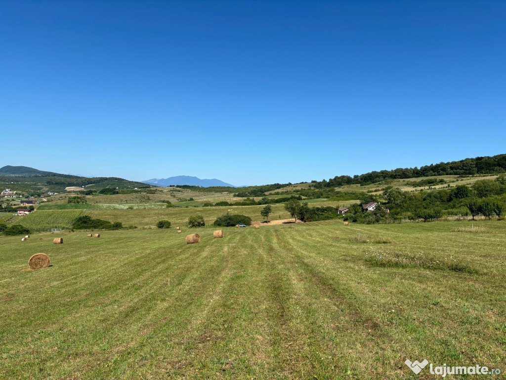 Teren de vânzare, strada Valea Stânelor