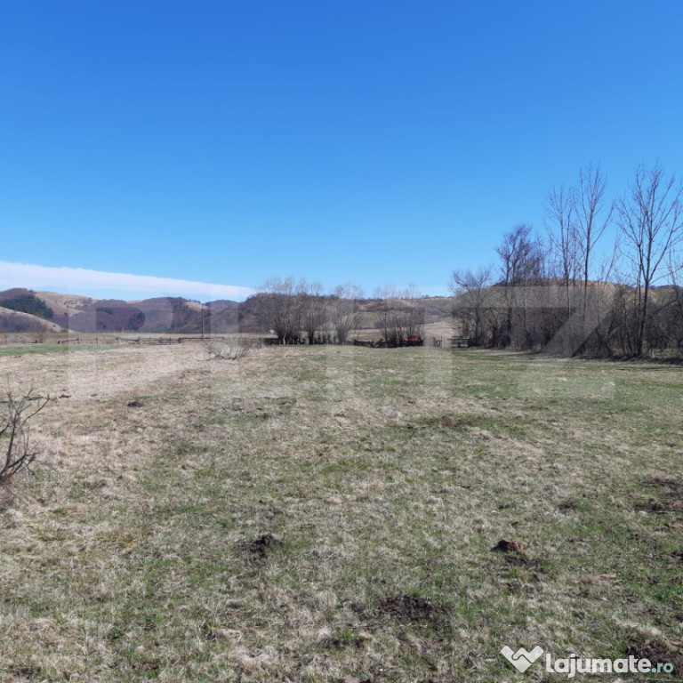 Teren extravilan 1.000 mp Valea Draganului
