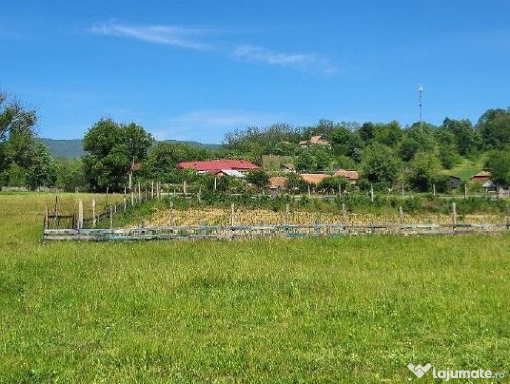 Teren extravilan arabil Tisau, ID: R2590475