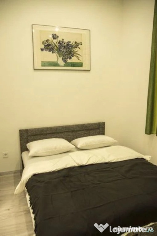2 camere in zona Medicinei