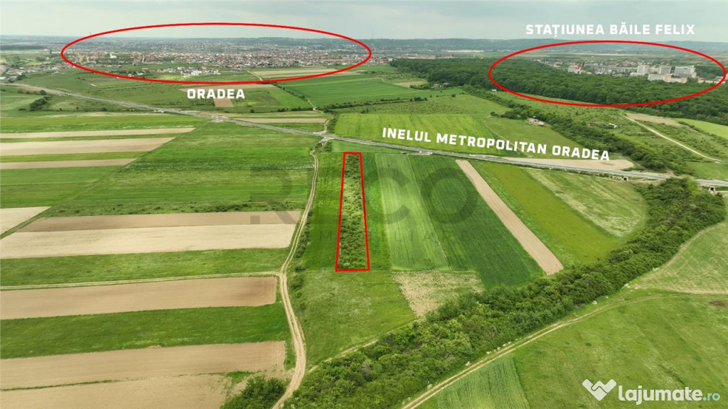 RECO Teren intravilan in Cordau zona- inelul Metropolitan