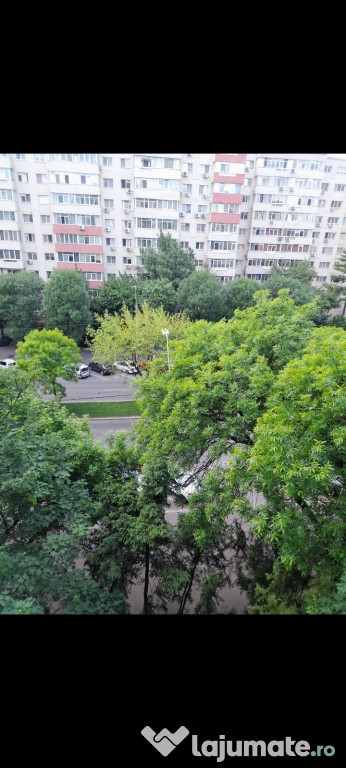 Piata sudului obregia confort 2