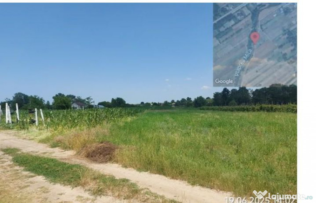 Treren extravilan, Loc. Scornicesti, Jud Olt