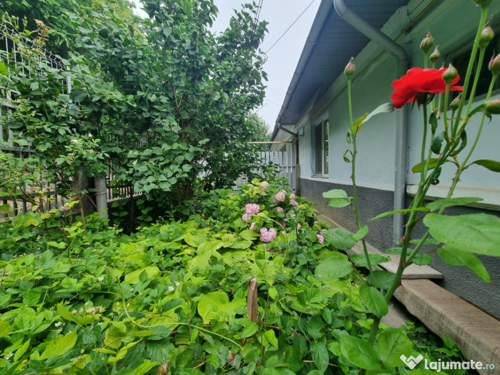 Zona Martiri-Ion Luca- proprietate cu potențial, în mijloc