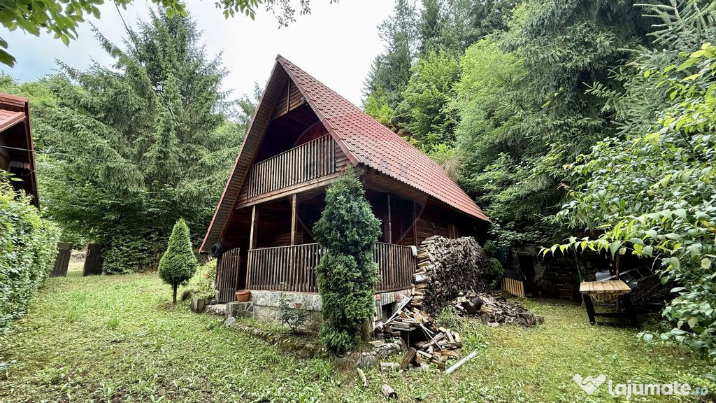 Cabana de lemn zona Barajului Firiza