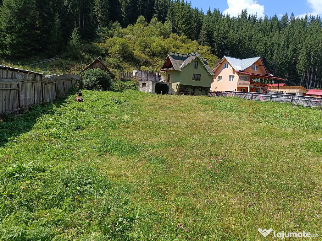 Casă cu teren în Suceava, comuna Cârlibaba