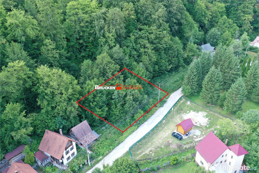 TEREN INTRAVILAN CONSTRUIBIL – 400 mp | Statiunea Boga,...