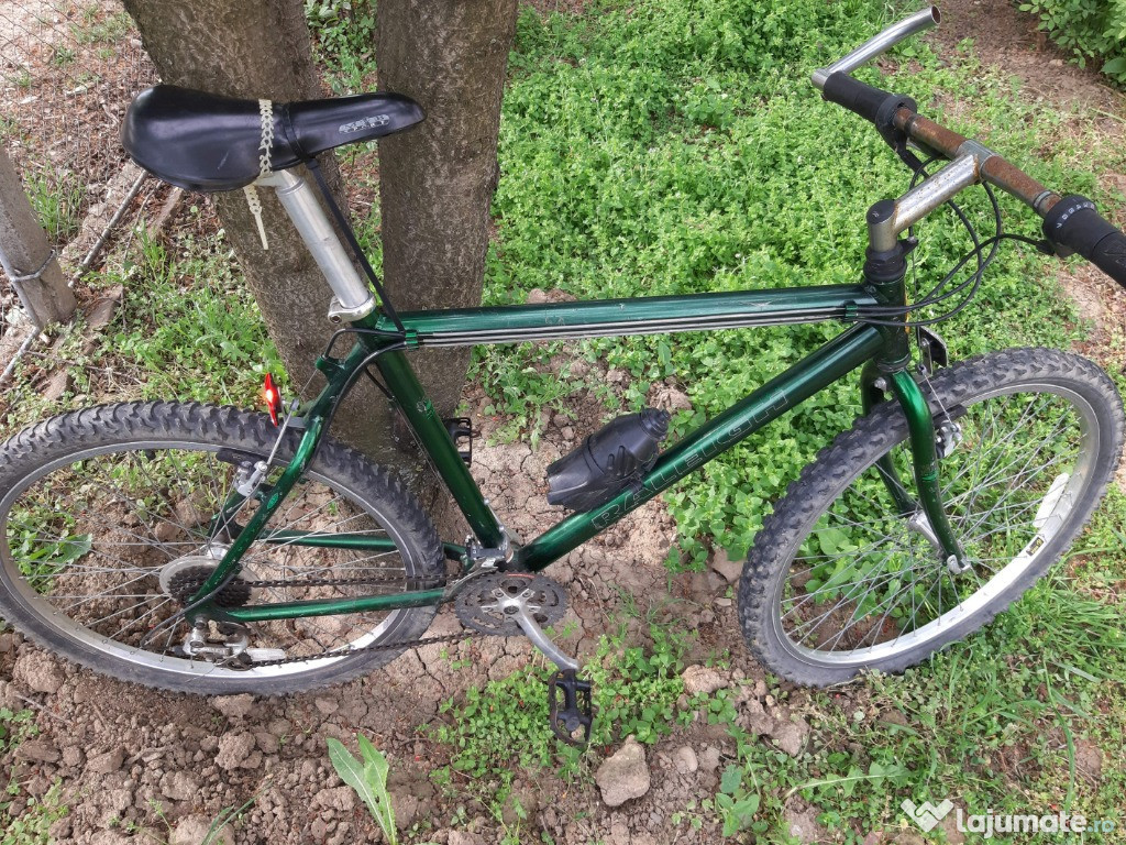 Vintage Bicicleta Rider Originala Raleigh Absolut totul original