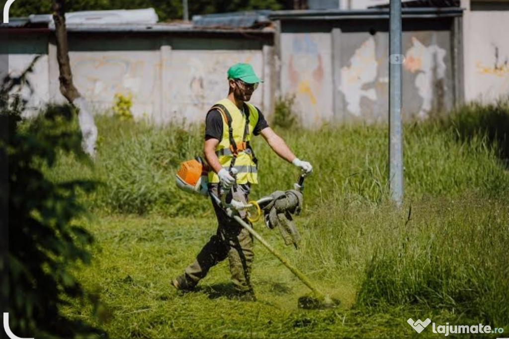 Servicii curățare curți și grădini