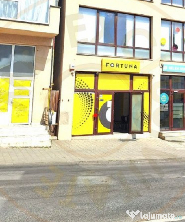 Spatiu Stradal Cu Vad Format Banat- Razboieni