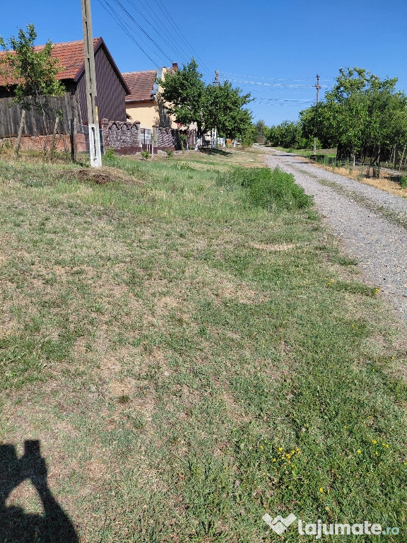 Teren curți-constructii, central, în Silagiu-Buzias 900mp