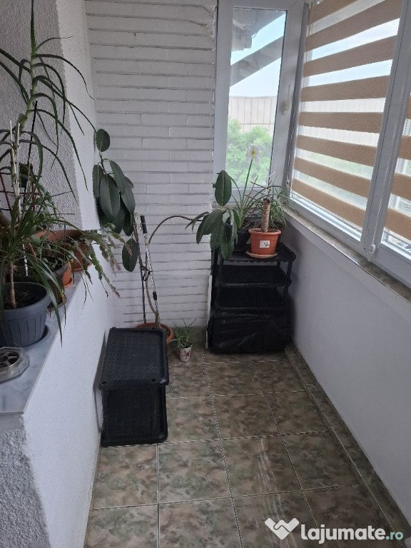 Apartament Frumoasa 2 camere
