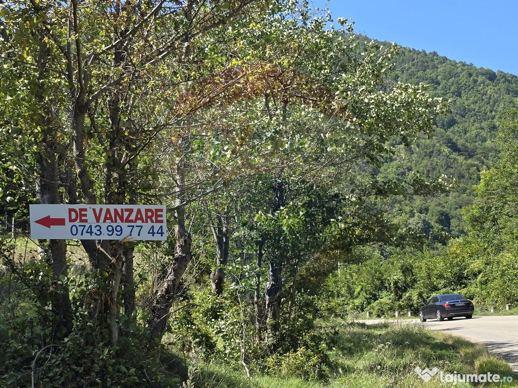 Teren 4,000mp Pascoaia / Soseaua Punctul Chiliilor