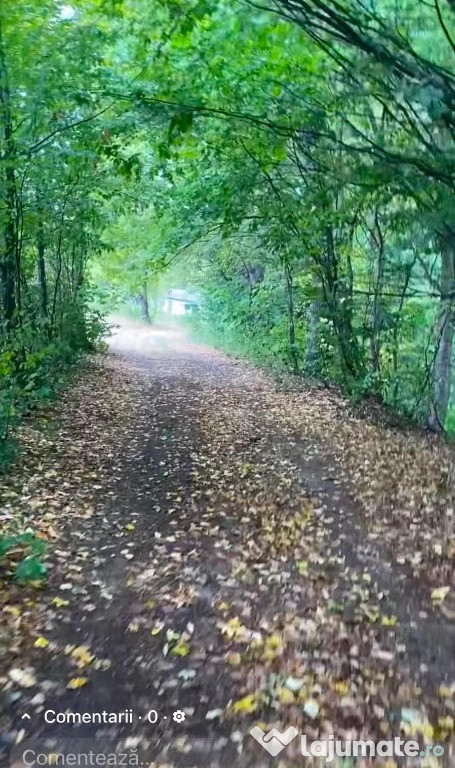 Teren de vanzare zona de munte