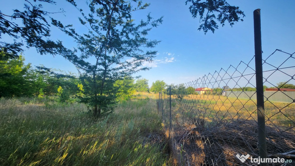 Teren Filești, Galați