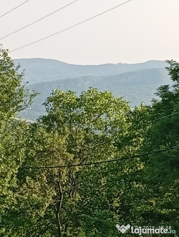 Teren de VIS Daesti altitudine600m Intravilan Utilitati liniste Totala