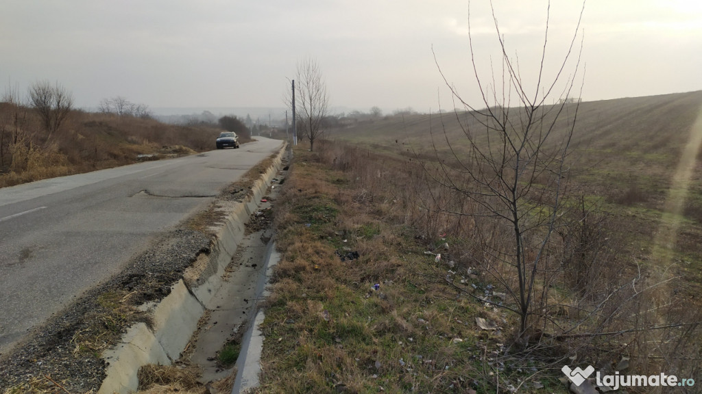Teren intravilan Pielesti , suprafață 10.000mp deschidere
