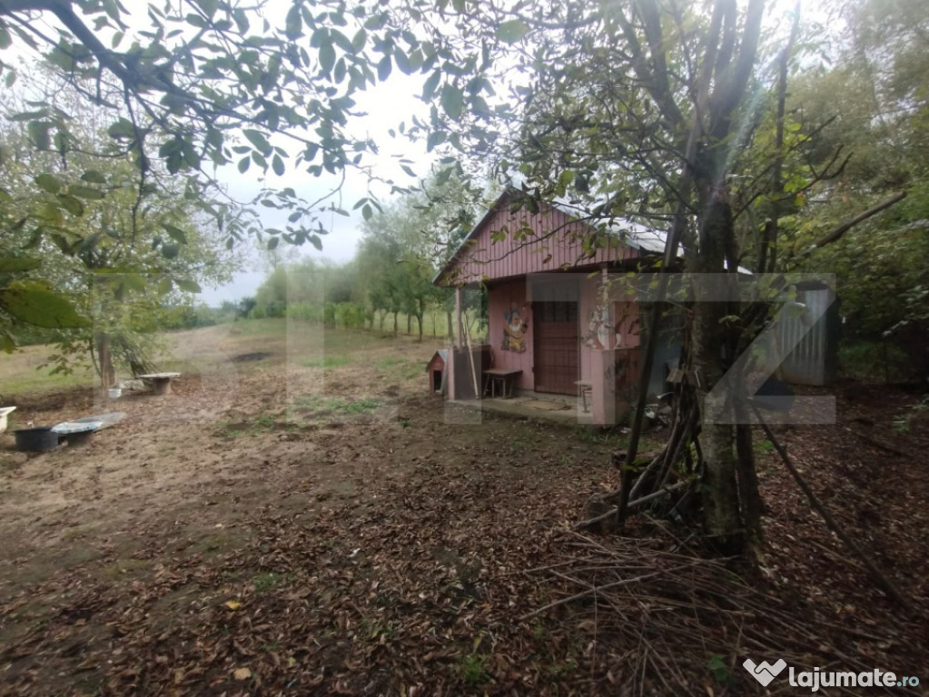 Cabana+teren intravilan.50 ari,oras Beclean