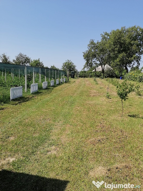 Teren intravilan in Barcanesti-centru, sat Candesti, Neamt, 3000mp