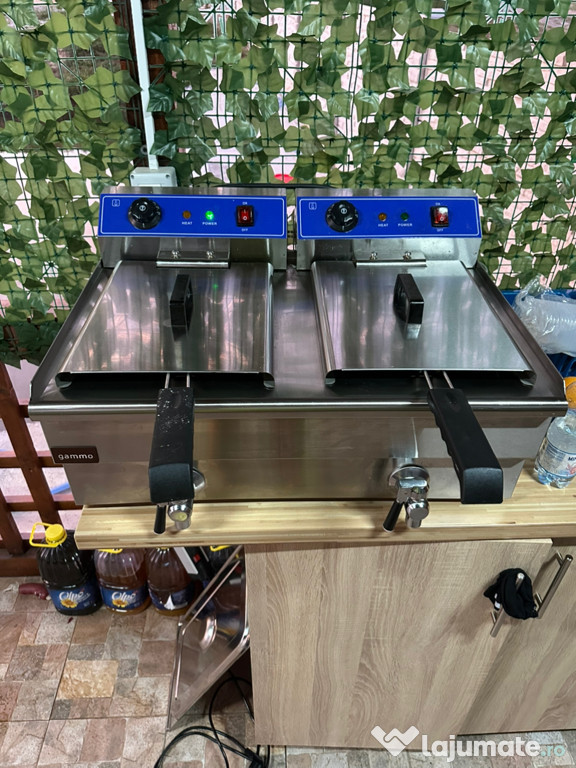 Vând rafturi vitrine frigorifice și friteuze!