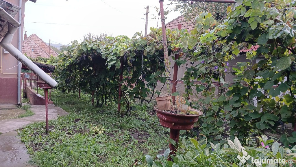 Casa de vanzare (parter si etaj)