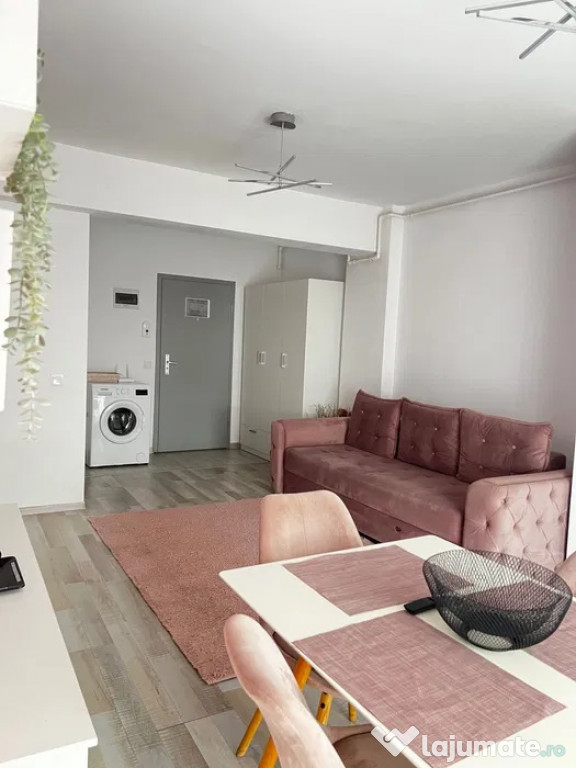 Studio 50 mp, pet friendly, Maurer Coresi