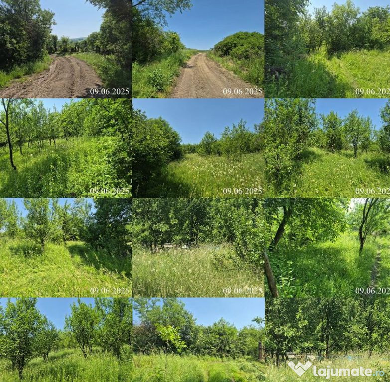 Teren extravilan, loc. Bobohalma, jud. Mures