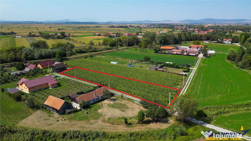 2.000mp intravilan, Bacel, zona linistita, intre Brasov si S