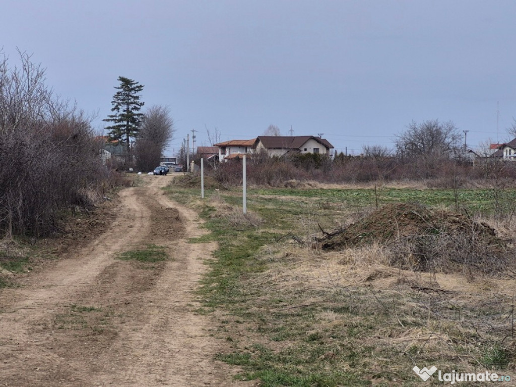 Teren intravilan ieftin Balotesti, 1100 mp, 25000 euro