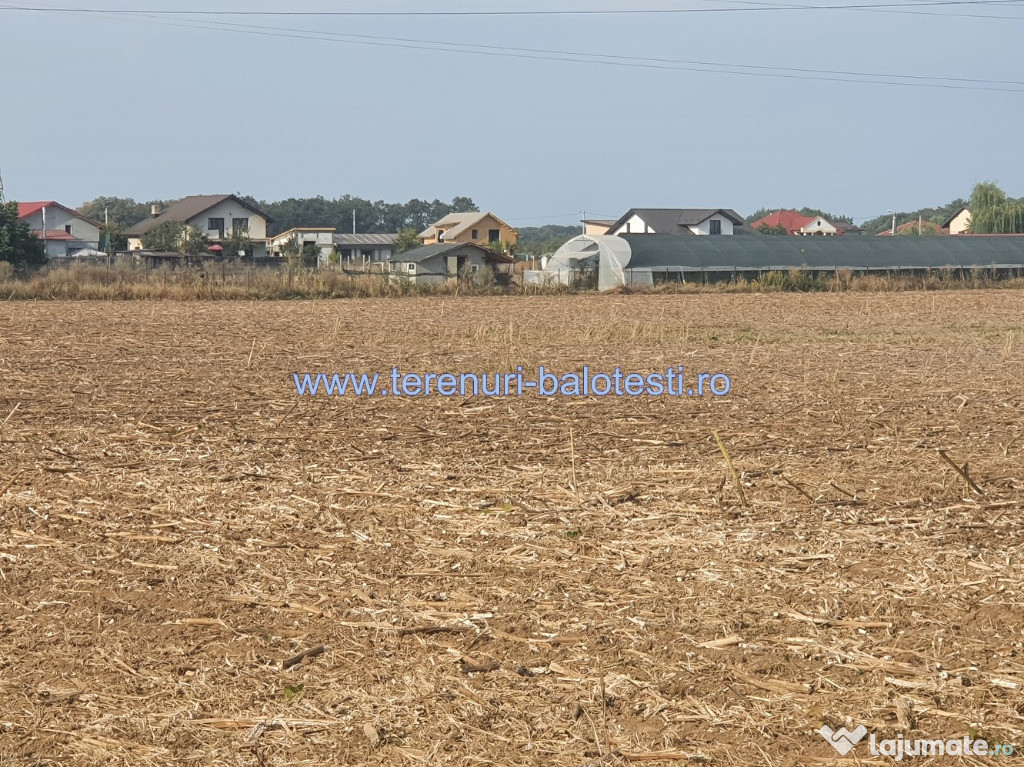 Teren Balotesti,case noi,padure, 25500 euro