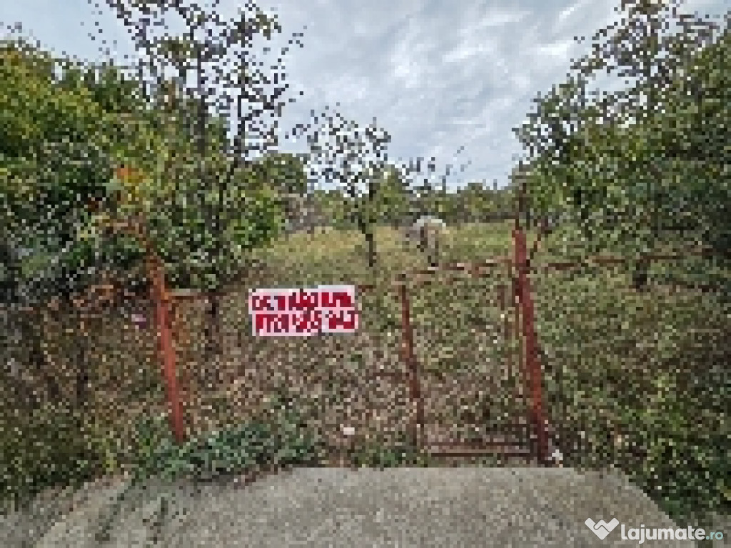 Vand teren intravilan Cornu de jos