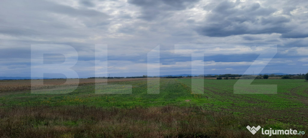 Teren extravilan de vanzare, 21.750 mp, Satu Mare