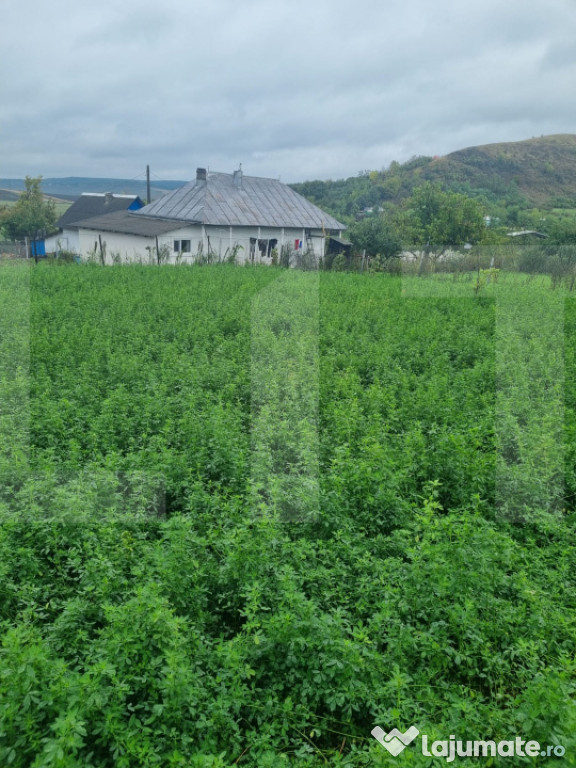 Casa bătrânească + Teren 1.666 mp intravilan, la 8 km de