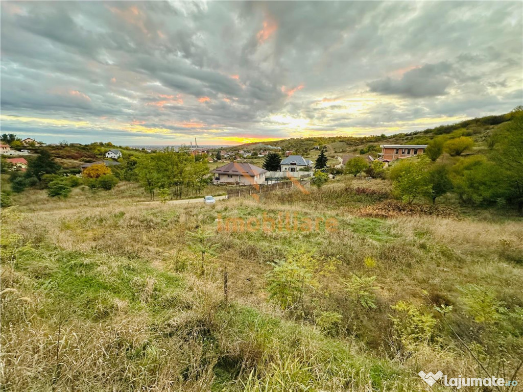TEREN INTRAVILAN, 950 MP, ZONA PALEU, STRADA PADURII