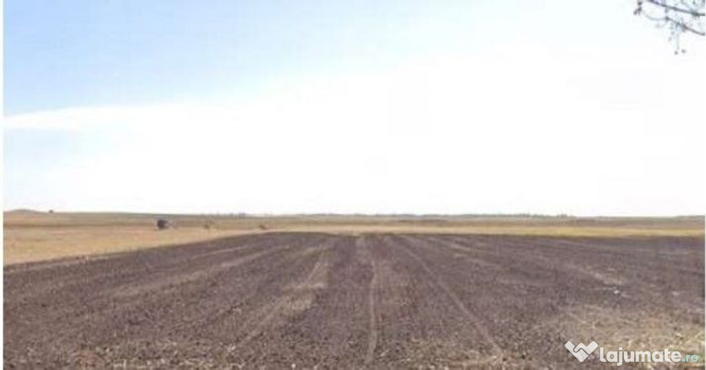 Teren extravilan cota parte 3/16 Amaru, ID: R2764932