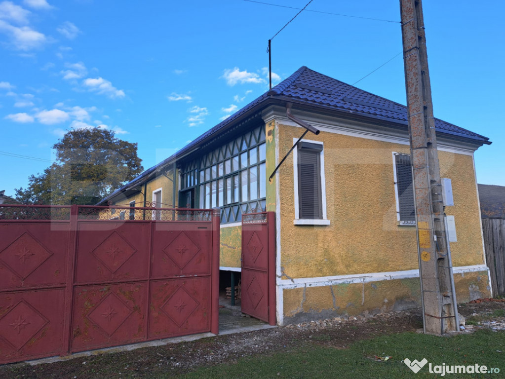 Casă individuală de vânzare în satul Zizin, județul Bra